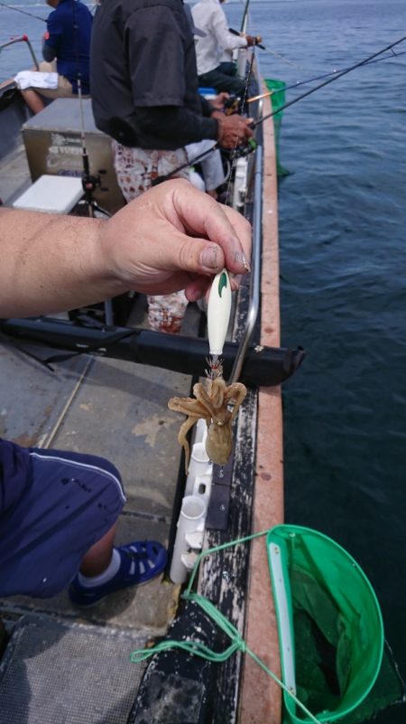 FISHING RISKY 釣果