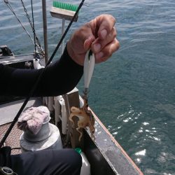 FISHING RISKY 釣果