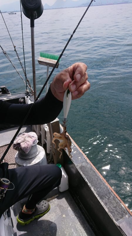 FISHING RISKY 釣果