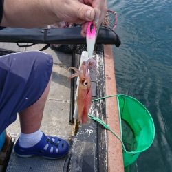 FISHING RISKY 釣果