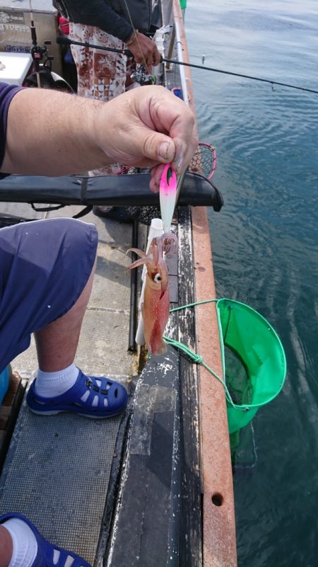 FISHING RISKY 釣果