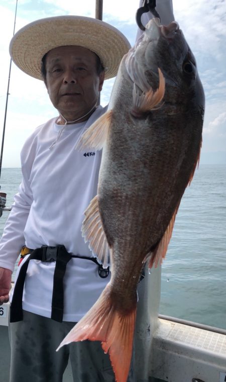 フィッシング キッタカ 釣果