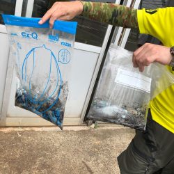 あみや渡船 釣果