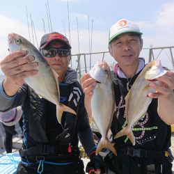 ありもと丸 釣果