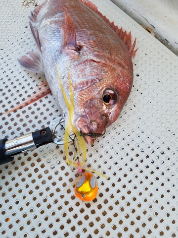 遊漁船 ニライカナイ 釣果