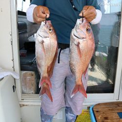 松本釣船２ 釣果