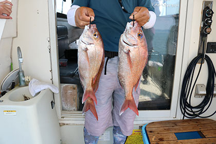 松本釣船２ 釣果