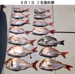 来温丸（らいおんまる） 釣果