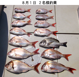 来温丸（らいおんまる） 釣果