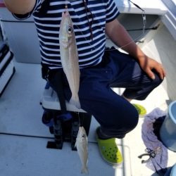 オーフリー 釣果