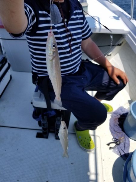 オーフリー 釣果