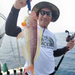 ブルーピア 釣果