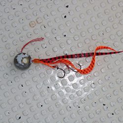 松本釣船２ 釣果