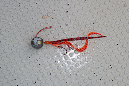 松本釣船２ 釣果