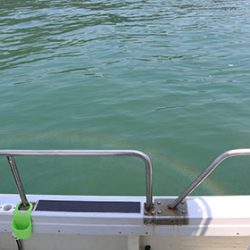 松本釣船２ 釣果