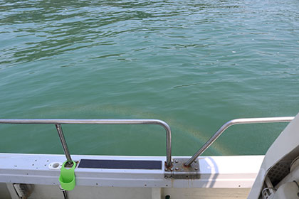 松本釣船２ 釣果