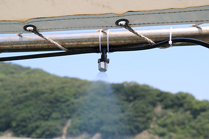 松本釣船２ 釣果