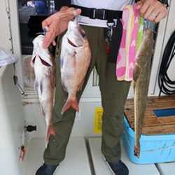 松本釣船２ 釣果