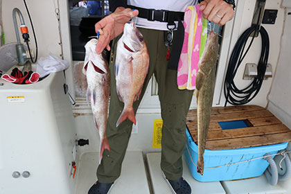 松本釣船２ 釣果