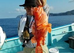 長栄丸(静岡) 釣果