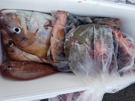 オーフリー 釣果