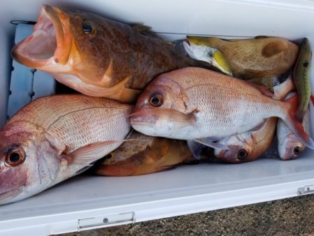 オーフリー 釣果