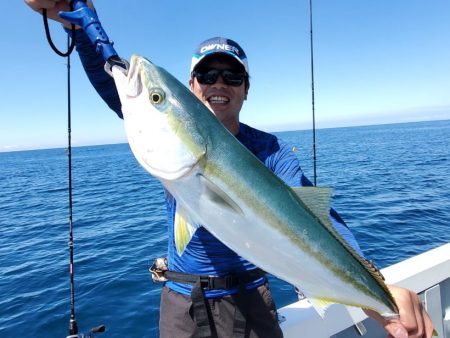 ブルーピア 釣果