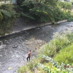 大井川(大井川(非)漁業協同組合) 釣果