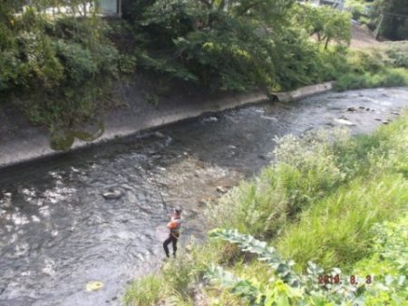 大井川(大井川(非)漁業協同組合) 釣果