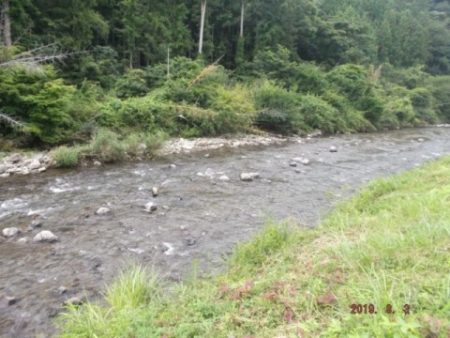 大井川(大井川(非)漁業協同組合) 釣果