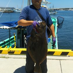 モンロー号 釣果