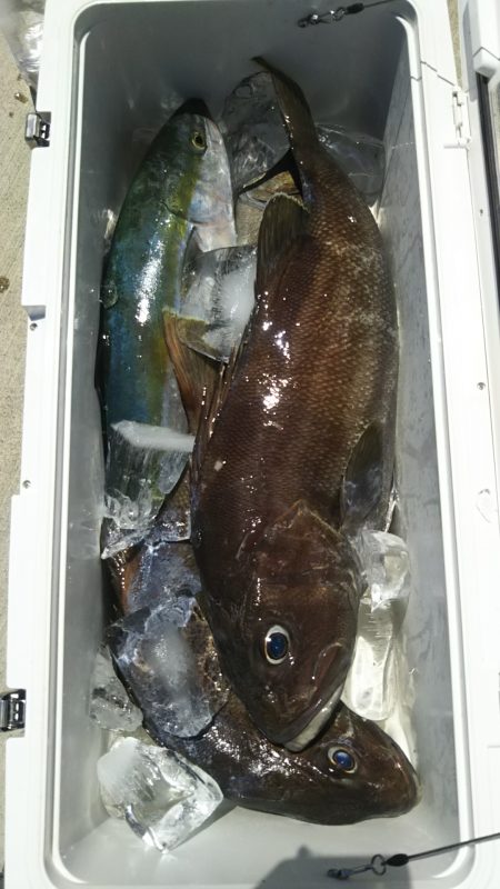 モンロー号 釣果