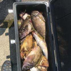 第八平成丸 釣果