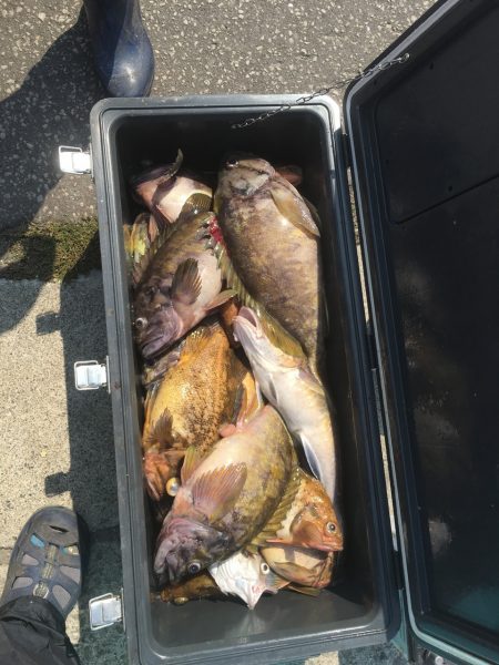 第八平成丸 釣果