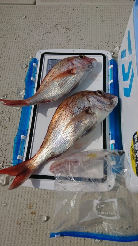 オーフリー 釣果