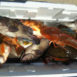 モンロー号 釣果