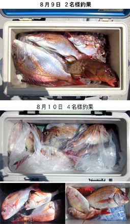 来温丸（らいおんまる） 釣果