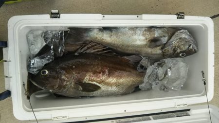 モンロー号 釣果