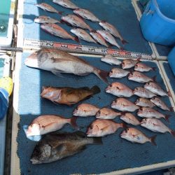 十八宝洋丸 釣果