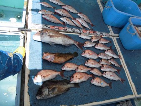 十八宝洋丸 釣果