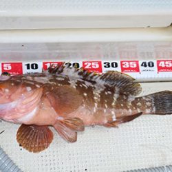 松本釣船２ 釣果