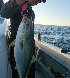 海龍丸（福岡） 釣果