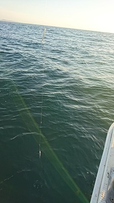 海龍丸（福岡） 釣果