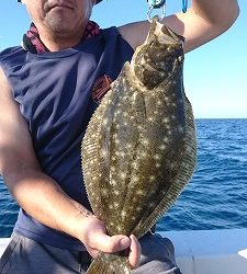 海龍丸（福岡） 釣果