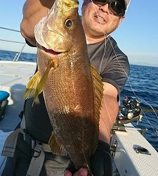 海龍丸（福岡） 釣果
