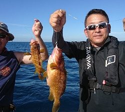海龍丸（福岡） 釣果