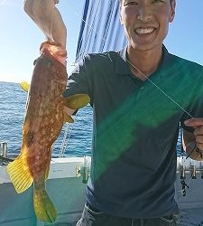 海龍丸（福岡） 釣果