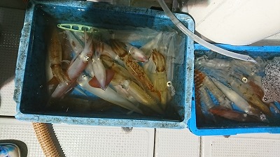 海龍丸（福岡） 釣果
