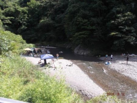 大井川(大井川(非)漁業協同組合) 釣果