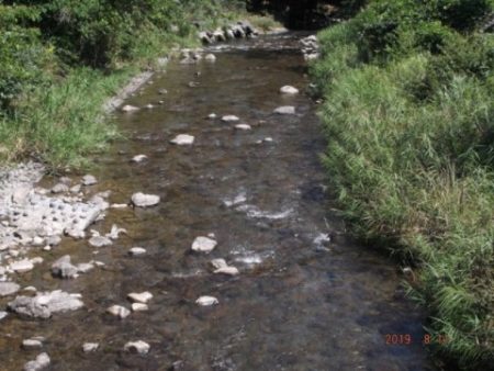 大井川(大井川(非)漁業協同組合) 釣果